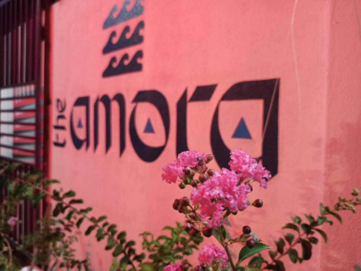 The Amora 阿鲁甘湾 外观 照片